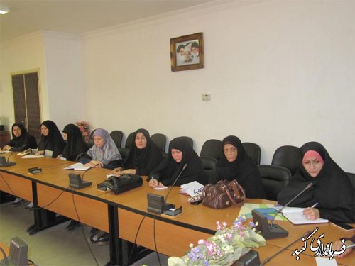برنامه محوری حجاب و عفاف در پارک الغدیر شهرستان گنبد کاووس برگزار می گردد