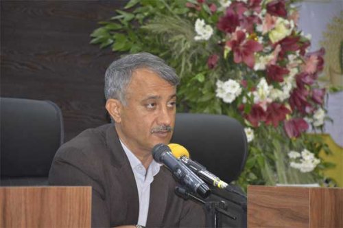 معاون استاندار گلستان: افزایش قیمت نان مطالبه جدی و بحق نانوایان است
